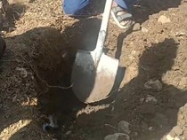 Video: Pria di Mamuju Kepergok Kubur Janin Hasil Aborsi Pacarnya