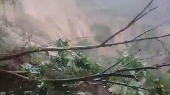 Penampakan longsor di di Desa Depok, Kecamatan Bendungan, Trenggalek