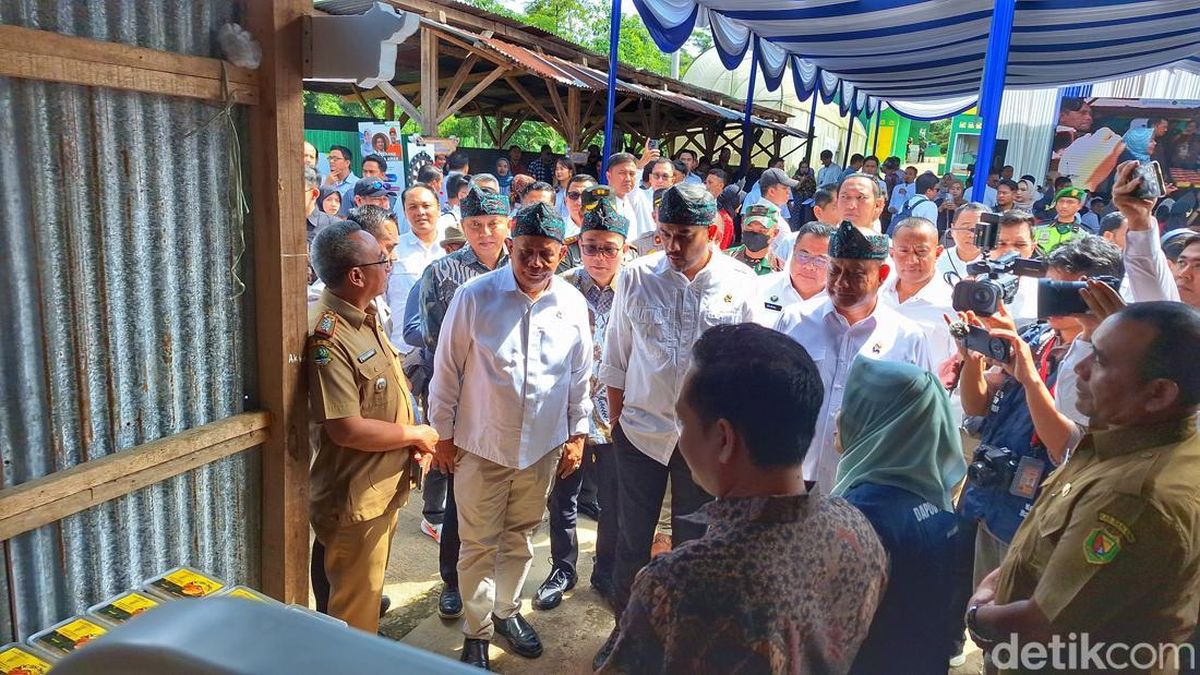 Pelibatan UMKM di Program MBG Dongkrak Perekonomian Daerah