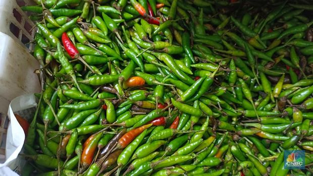 Pantauan CNBC Indonesia harga cabai di pasar berubah drastis dalam waktu singkat seperti di Pasar Rumput, Jakarta Selatan, Senin (19/5/2025). (CNBC Indonesia/Martyasari Rizky)