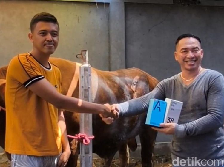 Asyik Beli Sapi Kurban Dapat Hadiah Handphone di Pasuruan