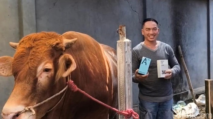Penjual sapi berhadiah handphone di Pasuruan