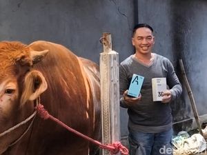 Beli Sapi Kurban di Pasuruan Bisa Dapat Hadiah Handphone