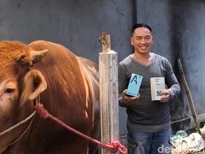 Beli Sapi Kurban di Pasuruan Bisa Dapat Hadiah Handphone