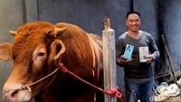 Ia memberikan bonus handphone untuk setiap pembelian hewan kurban.