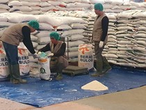 Gudang Bulog Hampir Penuh, Mentan Usul Revisi Inpres