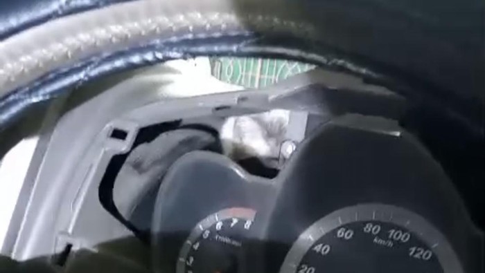 Petugas Damkar Sukoharjo saat mengevakuasi kucing yang terjebak di dasbor mobil di Desa Plumbon, Kecamatan Mojolaban, Kabupaten Sukoharjo, Senin (19/5/2025).