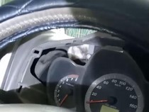 Damkar Sukoharjo Selamatkan Kucing Terjebak di Dasbor Mobil Pakai Pistol Air