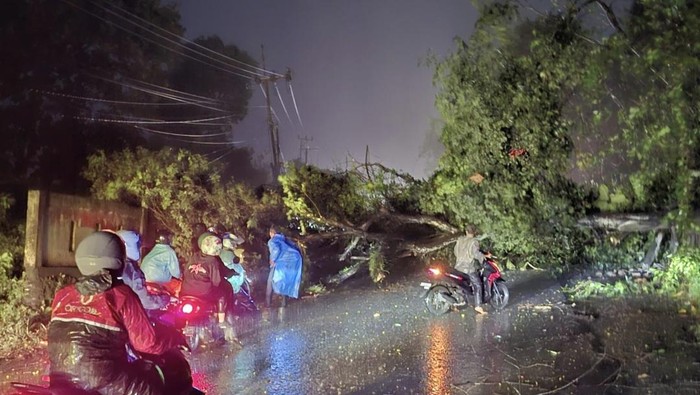 Pohon tumbang di Lahat sebabkan kemacetan.