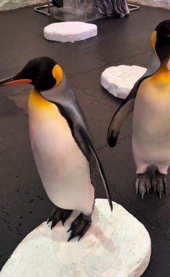 pengalaman di restoran unik bisa makan bareng penguin
