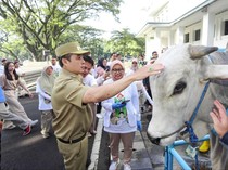 Pemkot Bandung Tugaskan 334 Satgas Kurban, Siap Kawal Kesehatan Hewan