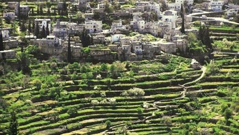 Situs ini terletak beberapa kilometer di barat daya Yerusalem, di Dataran Tinggi Tengah antara Nablus dan Hebron. Bentang alam perbukitan Battir terdiri dari serangkaian lembah pertanian, yang dikenal sebagai widian, dengan teras-teras batu yang khas, beberapa di antaranya diairi untuk produksi kebun pasar, sementara yang lain kering dan ditanami tanaman anggur dan pohon zaitun. Pengembangan pertanian teras di wilayah pegunungan tersebut didukung oleh jaringan saluran irigasi yang dialiri oleh sumber air bawah tanah. Sistem distribusi tradisional kemudian digunakan untuk membagi air yang dikumpulkan melalui jaringan ini di antara keluarga-keluarga dari desa Battir di dekatnya. Foto: Boredpanda