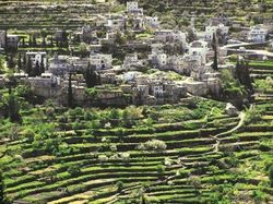 Deretan Warisan Dunia UNESCO yang Terancam Punah