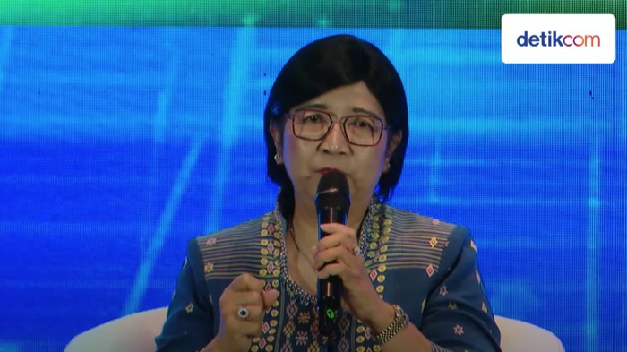 Deputi Gubernur Senior BI Destry Damayanti dalam acara Outlook Ekonomi DPR.