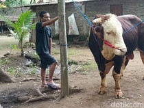 Hercules Jadi Kurban Presiden Prabowo di Kulon Progo
