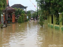 Hujan Deras sejak Kemarin, 6 Desa di Pati Terendam Banjir hingga 80 Cm