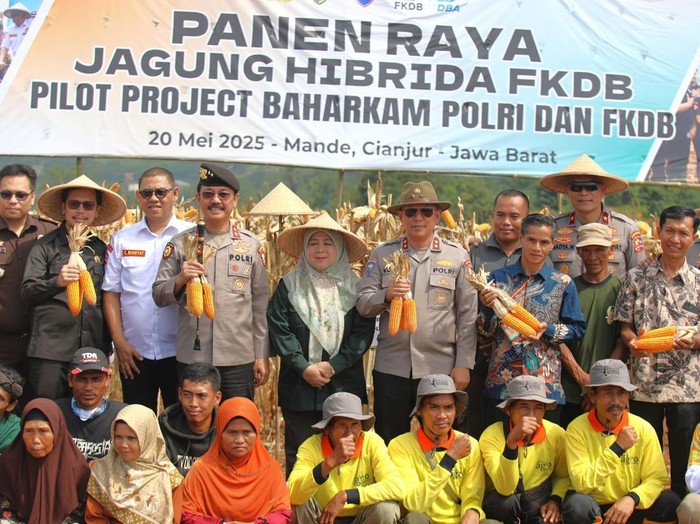 Panen Raya Jagung di Cianjur, Jabar pada Selasa (20/5/2025).