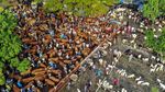 Pasar Hewan Warujayeng Ramai Jelang Idul Adha
