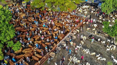Pasar Hewan Warujayeng Ramai Jelang Idul Adha