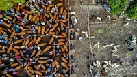 Menjelang Idul Adha, aktivitas di Pasar Hewan Warujayeng, Tanjunganom, Nganjuk, Jawa Timur, semakin meningkat. Sejumlah pedagang tampak menggiring sapi dagangannya untuk ditawarkan kepada calon pembeli. Pasar tradisional ini menjadi salah satu pusat jual beli hewan kurban di wilayah Nganjuk.