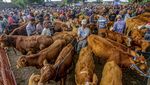 Pasar Hewan Warujayeng Ramai Jelang Idul Adha