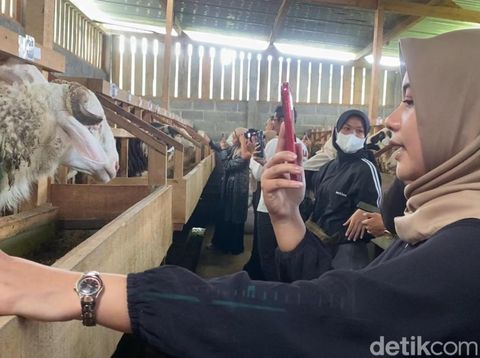Penjualan kambing kurban melalui live TikTok dan Instagram di Desa Bomerto, Kecamatan/Kabupaten Wonosobo, Selasa (20/5/2025).