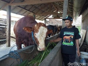 Perkenalkan Glewo, Kurban Prabowo di Kota Blitar yang Dibeli dari Wibowo