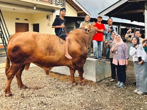 Prabowo Berkurban 16 Ekor Sapi di Lampung