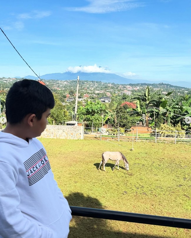 Pemandangan yang disuguhkan di vila baru Shireen itu juga begitu memanjakan mata. Selain tumbuhan hijau dan kuda, Shireen juga bisa melihat gunung dari vilaa barunya itu. Foto: Instagram/@shireensungkar