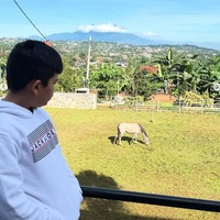 Pemandangan yang disuguhkan di vila baru Shireen itu juga begitu memanjakan mata. Selain tumbuhan hijau dan kuda, Shireen juga bisa melihat gunung dari vilaa barunya itu. Foto: Instagram/@shireensungkar