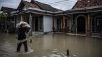 Tanggul Sungai Tuntang Jebol, 11 Desa di Demak Terendam Banjir