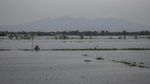 Tanggul Sungai Tuntang Jebol, 11 Desa di Demak Terendam Banjir