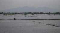 Akibatnya, banjir meluas ke sejumlah desa di sekitarnya, termasuk Desa Sumberejo dan Kembangan.