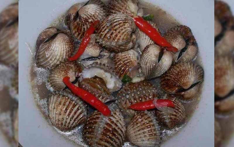 Tudai Tanjung Selor