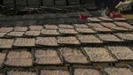 Geliat Rumah Produksi Udang Rebon di Pandeglang