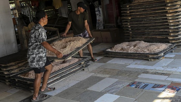 Upaya meningkatkan serapan udang nasional Pekerja memindahkan udang rebon kering di rumah produksi Doa Ibu, Panimbang, Kabupaten Pandeglang, Banten, Selasa (20/5/2025). Kementerian Kelautan dan Perikanan (KKP) berupaya meningkatkan serapan udang nasional melalui kampanye gerakan memasyarakatkan makan ikan (Gemarikan), di mana udang tidak hanya sebagai komoditas ekspor unggulan tetapi sumber protein berkualitas tinggi yang dapat dikonsumsi sehari-hari oleh masyarakat Indonesia. ANTARA FOTO/Angga Budhiyanto/rwa.