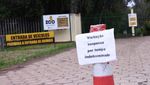 Wabah Flu Burung Serang Kebun Binatang di Brasil