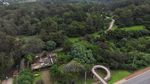 Wabah Flu Burung Serang Kebun Binatang di Brasil