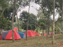 Fasilitas dan Harga Terkini Wisata Kaliwungu Karawang, Ada Hutan Warna!