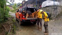 Empat ekor anjing pelacak diterjunkan ke lokasi utama longsor.