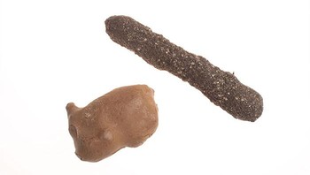 Detektor intrusi Era Perang Dingin ini dirancang agar menyatu dengan medan. Detektor ini dapat mendeteksi pergerakan orang, hewan, atau objek hingga sejauh 300 meter. Perangkat ini ditenagai oleh sel daya kecil dan memiliki antena internal. Pemancar menyampaikan data dari perangkat melalui impuls berkode. Foto: Boredpanda