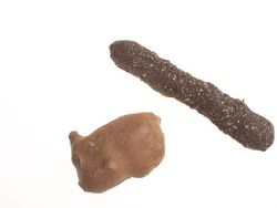 Alat Mata-mata CIA, Bentuknya Konyol Dikira Properti Film