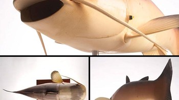 Kantor Teknologi dan Program Canggih CIA mengembangkan ikan wahana bawah air tanpa awak (UUV) untuk mempelajari teknologi robot akuatik. Beberapa spesifikasi yang digunakan untuk mengembangkan Charlie adalah: kecepatan daya tahan kemampuan manuver kontrol kedalaman akurasi navigasi otonomi status komunikasi. Ikan UUV berisi lambung bertekanan, sistem pemberat, dan sistem komunikasi di badan serta sistem propulsi di bagian ekor. Ikan ini dikendalikan oleh telepon genggam radio nirkabel dengan jarak pandang terbatas. Foto: Boredpanda