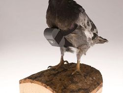 Alat Mata-mata CIA, Bentuknya Konyol Dikira Properti Film