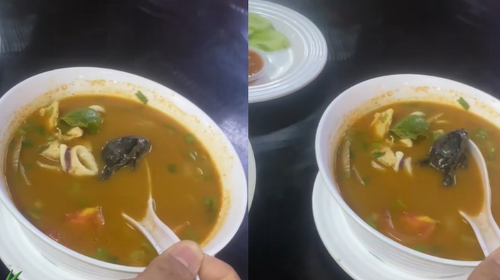 Beli Tom Yum Dapat Bonus Kodok, Wanita Ini Langsung Trauma