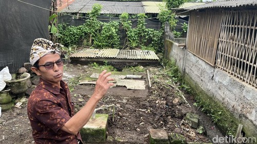 I Ketut Sepot saat menunjukkn galian tanah yang dibuat untuk saluran kotoran menjadi biogas di belakang rumahnya di Desa Puhu, Payangan, Gianyar, Rabu (21/5/2025).