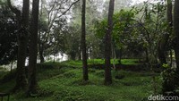 Tiket masuk Bumi Perkemahan Palutungan sudah termasuk fasilitas lengkap seperti musala, gazebo, toilet, serta akses ke area Curug Putri yang tak jauh dari lokasi perkemahan.