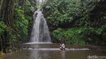 Pesona Alam di Bumi Perkemahan Palutungan Kuningan
