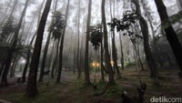 Untuk jam operasionalnya tempat ini buka mulai pukul 08.00 WIB sampai 16.00 WIB.
