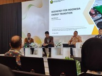 Pemerintah Ajak Investor Garap Energi Baru Terbarukan di RI